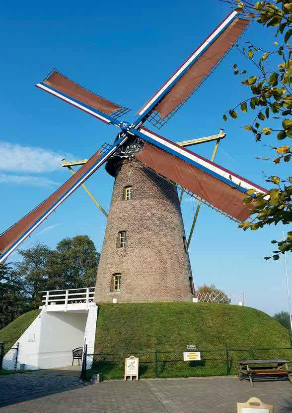 Deze molen werd in 1875 in opdracht van Jan Peerlings gebouwd als vervanging voor twee watermolens die langs de Tungelroyse Beek stonden.