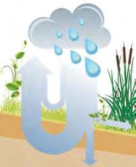 Of regenwater wordt gebruikt of niet, zuinig zijn met water bespaart altijd aanzienlijk op het verbruik van drinkwater. Enkele tips: - installeer een WC met een dubbele spoelfunctie.