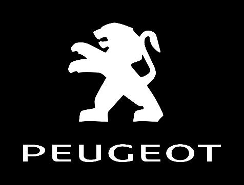 software en kaarten via de Peugeot website: http://www.peugeot.