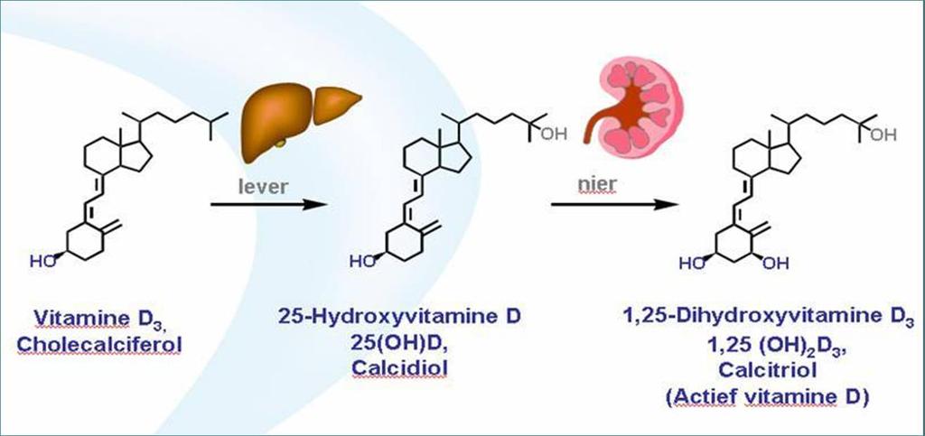 Chronische nierschade, metabole gevolgen Secundaire hyperparathyreoïdie streefwaarde serum fosfaat: normaal aangetoonde 25-hydroxyvitamine D deficiëntie: suppleren niet