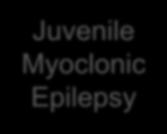 Generalized Epilepsies Childhood Absence Epilepsy Juvenile