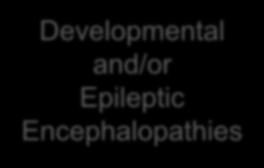 symptomatic generalized epilepsies gebruikt voor