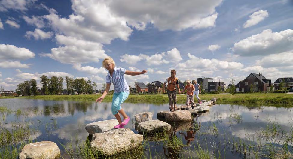 Biodiversiteit is essentieel Een grote soortenrijkdom bepaalt onze kwaliteit van leven. Een zo rijk mogelijke natuur is op zich al een waardevol maatschappelijk bezit.