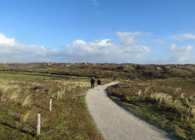 Biodiversiteit in Nederland: Hier willen we zijn in 2030 Openbare