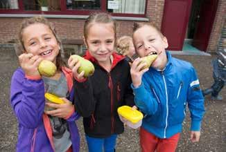 Woord vooraf Beste ouder In deze gids vind je: informatie over de scholen in Genk: basisscholen, kleuterscholen, lagere scholen en scholen buitengewoon onderwijs tips over hoe je je kind kan