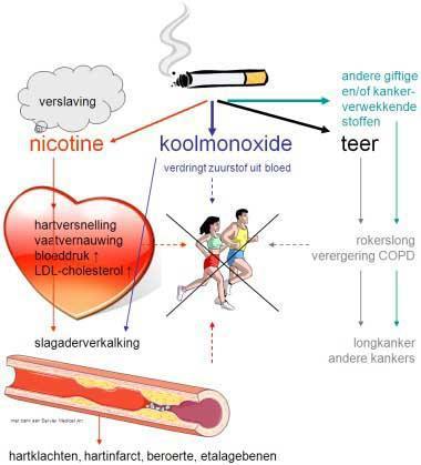 ROKEN Belangrijkste