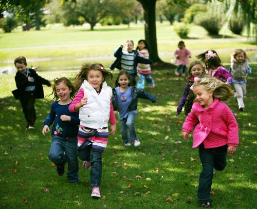 School Loopbaanbegeleider voortgang