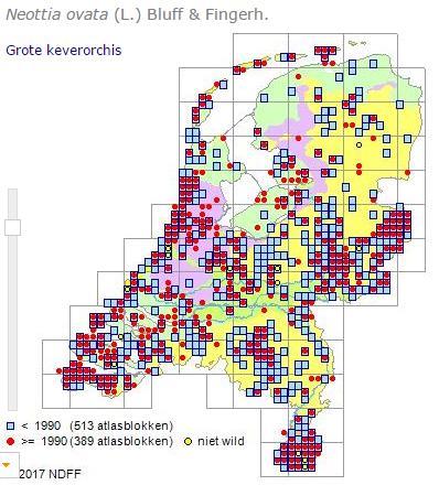 Vogelkers-Essenbos in de beekdalen Voorbeeld: