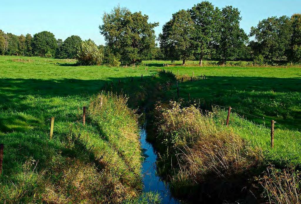 gebruikt werd voor men hier over baksteen beschikte. De Magnuskerk is een van de weinige kerken in Drenthe waar nog middeleeuwse muurschilderingen aanwezig zijn.