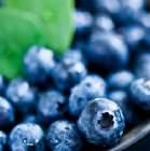 ANTIOXIDANTEN Veel antioxidanten zijn natuurlijke stoffen, gevonden in fruit, bessen en groente. Deze stoffen gaan de schadelijke oxidatie tegen van vetzuren celmembranen en DNA.