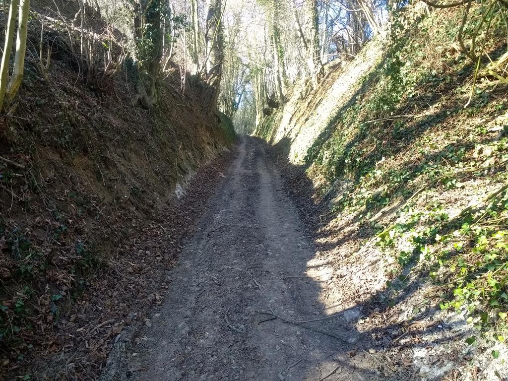 Bij een splitsing met een Christusbeeld bovenaan een trap neem je het linker pad. 500 meter verder ga je bij een T-splitsing rechts naar beneden het dal in.