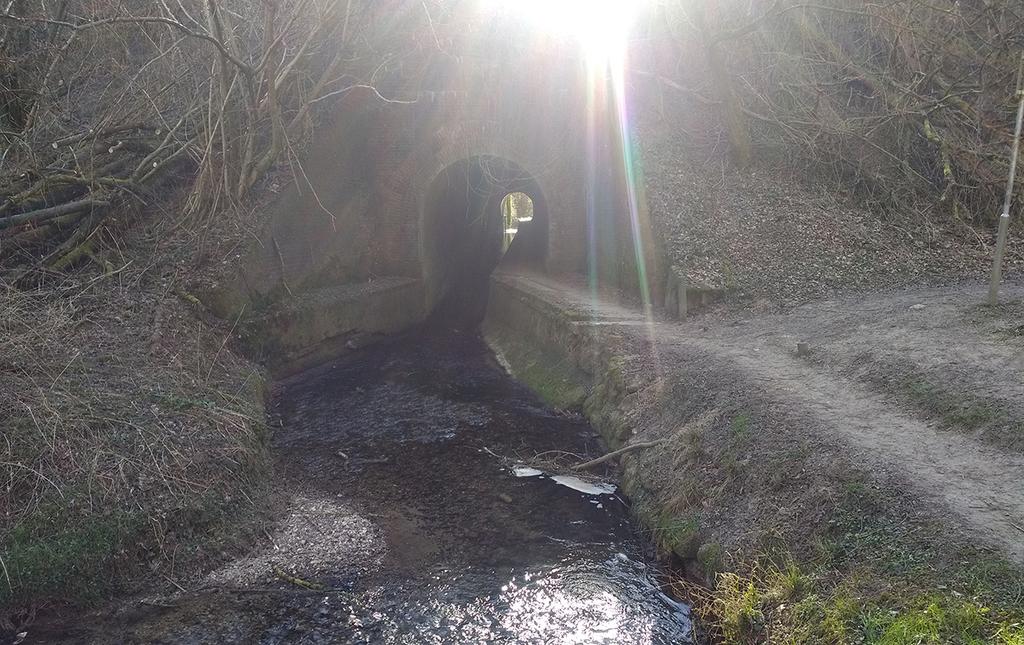 4. Eyserbeek Je blijft de beek zo n beetje volgen en gaat aan het eind samen met de beek een tunnel onder het spoor door. Aan de andere kant van de tunnel volg je het pad rechtsaf.