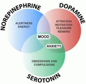 Neurotransmitters Neurotransmitters in