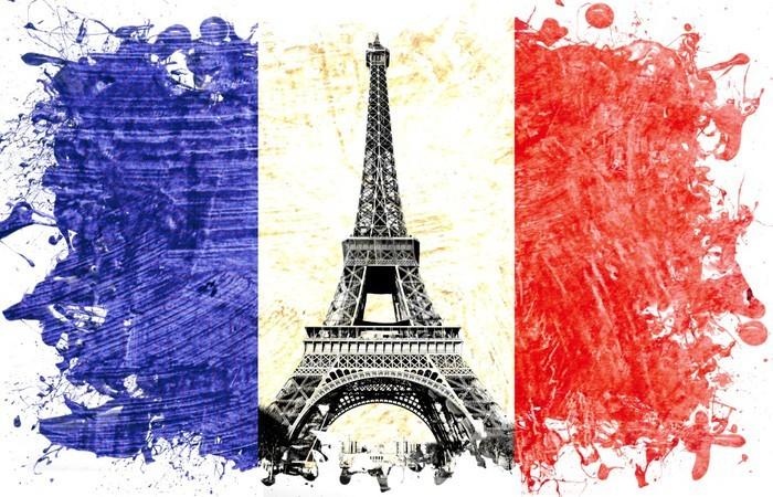 Taalcursussen Franse les beginners - Op een aangenaam en matig tempo de Franse taal onder de knie krijgen - Toepasselijk in