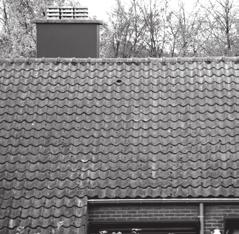 7.1 Dak De isolatie van het dak, die zichtbaar is op zolder, is kapot of weg. De dakpannen zijn los, kapot of weg. De isolatie is beschadigd door water dat doorsijpelt. Het regent binnen.