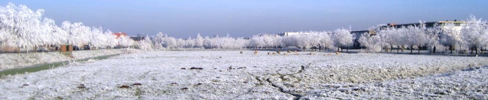 Dankwoord Dankwoord De exploitatie van de wijktuin De Alphense Wetering zou in 2016 onmogelijk zijn geweest zonder hulp van alle bedrijven en instanties die ons hebben gesteund.