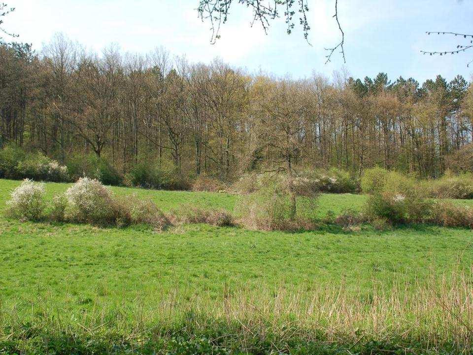 gebieden met bijzondere waarde natuurontwikkelingsgebieden beschermde duingebieden (Duinendecreet) SBZ-H, SBZ-V, Ramsargebieden Kleine Landschapselementen: idem + agrarische gebieden, landschappelijk