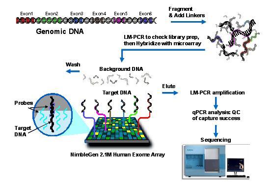 Sequencing