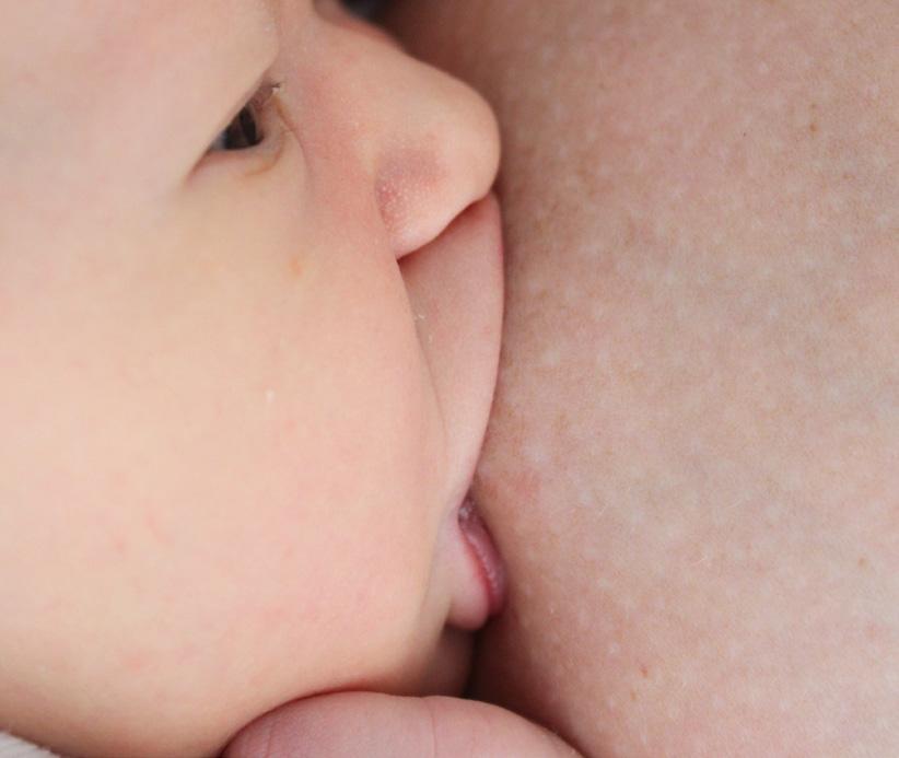 Deze baby is juist aangehapt: hij heeft zowel de tepel als de tepelhof (of een gedeelte ervan bij een groot tepelhof) in het mondje.