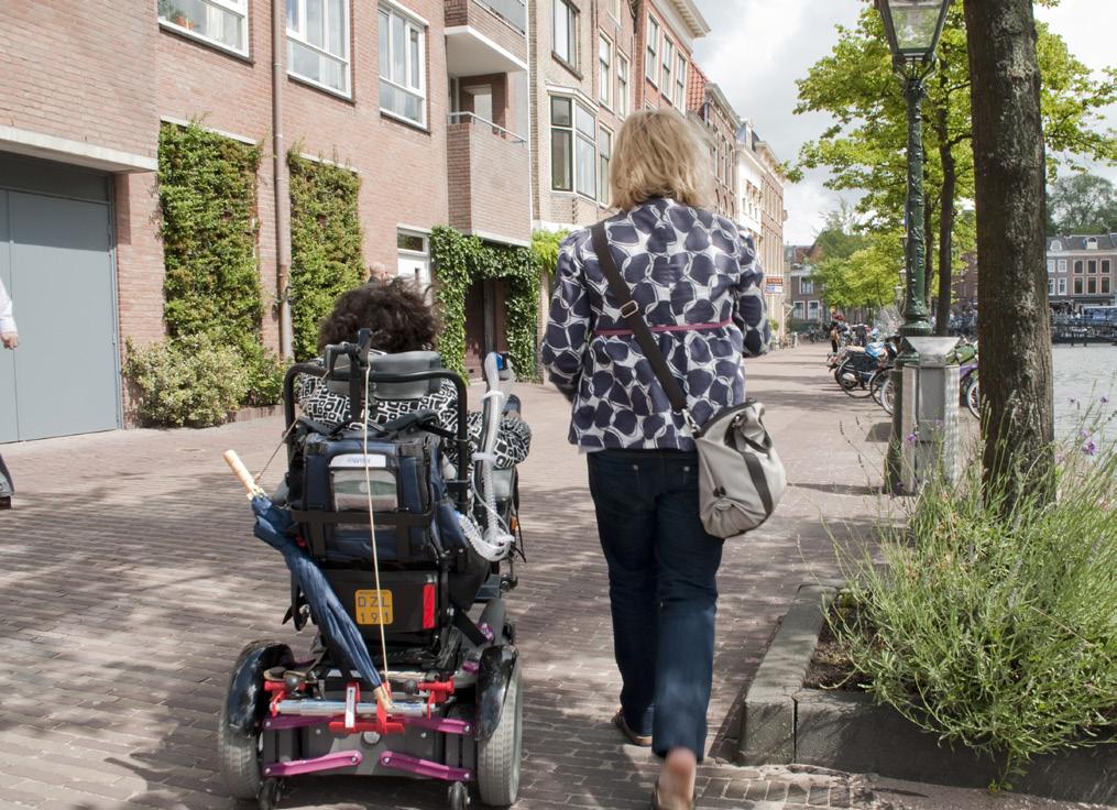 Vriendendienst Zuid-Holland Noord 9 de samenwerking met Rijnstreek zal intensiveren door gezamenlijk nieuwe projecten per regio op te starten.