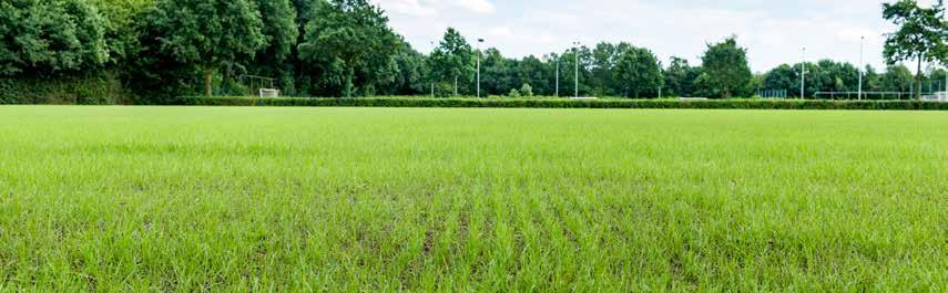 Jaarlijks worden de DCM graszaadmengsels geëvalueerd in praktijkproeven.