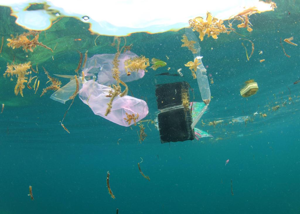 Handleiding voor onderwijzers Hoofdstuk 2 Wat is plasticvervuiling in de oceaan?