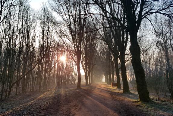 Ik heb nog nooit van een wandelcoach gehoord, maar het idee van een wandeling in de natuur spreekt me meteen aan.