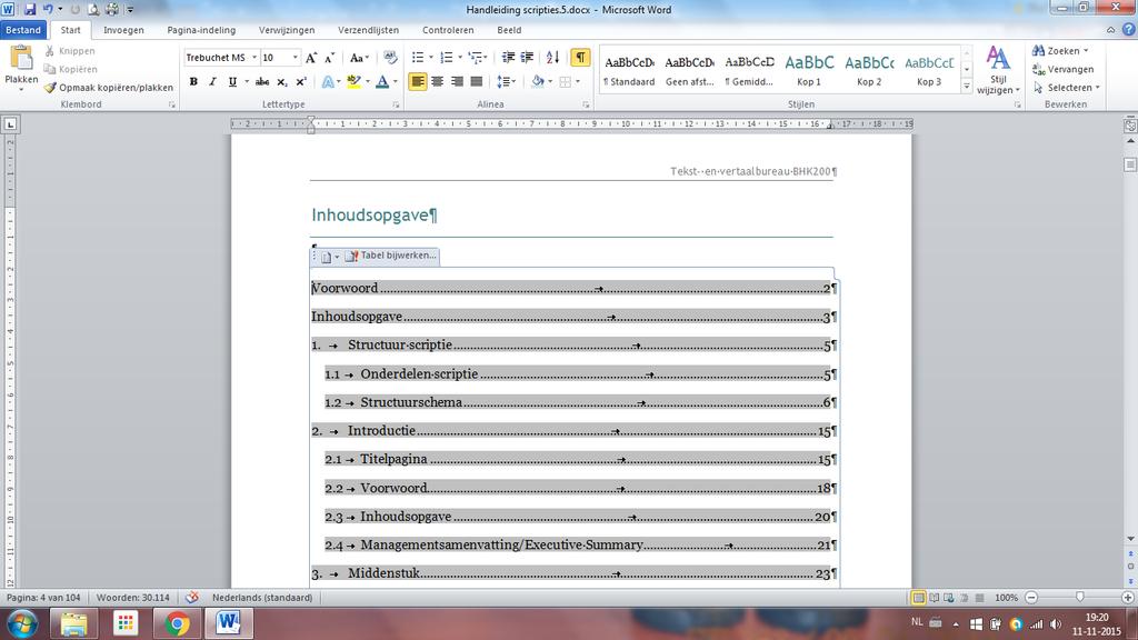 Bekijk de geautomatiseerde inhoudsopgave altijd even na: soms zijn er stukken tekst meegenomen of zijn niet alle kopjes meegenomen.