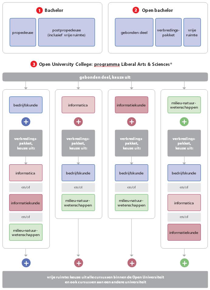 Opleidingsmogelijkheden Bachelor of