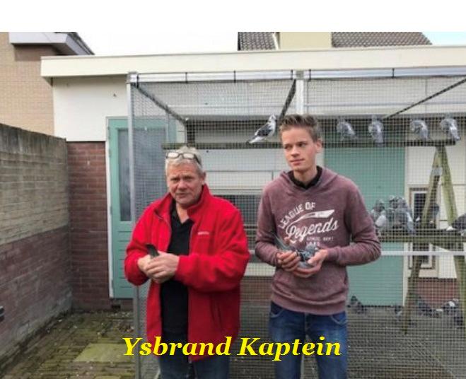 Koop 26 Ringnummer 1795427-NL 2018 uit 13 jaar oude TOP KWEKER x Dt Stammoeder Top Kweekduivin Ysbrand Kaptein, Kerklaan 41 1921 BK Akersloot Tel.