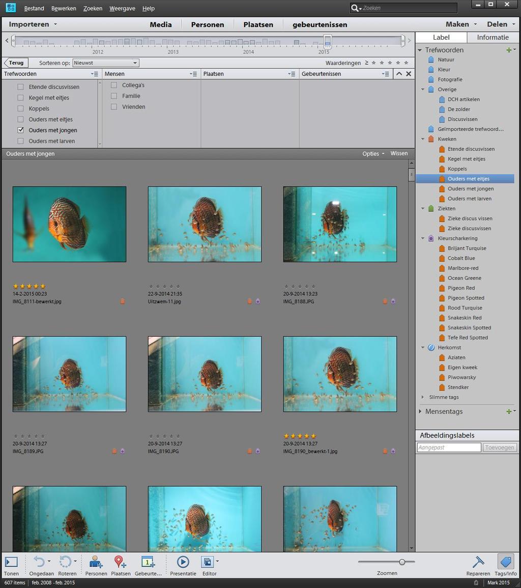 29 Schermafdruk: Adobe Photoshop Elements Organizer Ik zelf gebruik al jaren het eenvoudig software pakket Adobe Photoshop Elements voor het beheren en het bewerken van foto s.