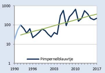 Er is in het aantal pimpernelblauwtjes een duidelijk verschil tussen de