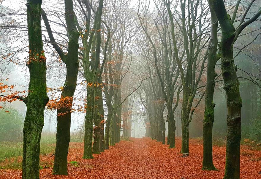 Vorstelijk overnachten Combineer de wandeling met een overnachting en maak er een onvergetelijk weekend van.