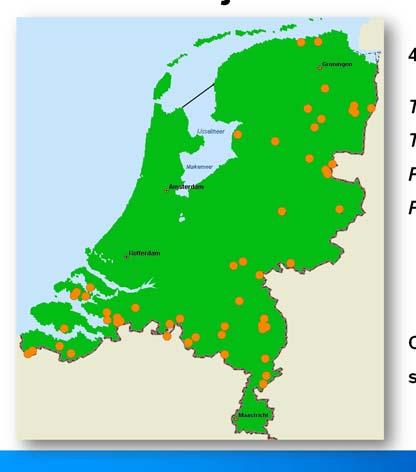 Paratrichodorus teres Op een perceel