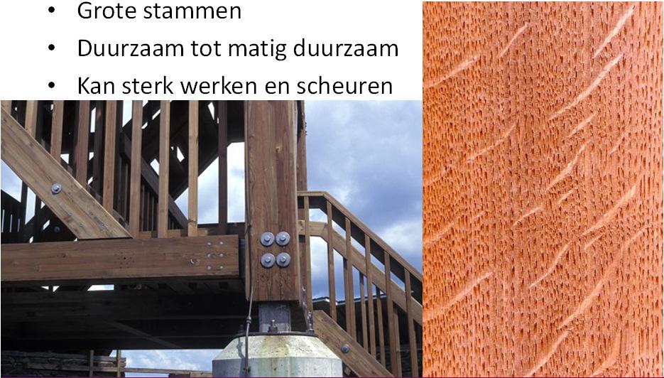 duurzaamheidsklassen : Europees eiken Ringporig Spiegels uit houtstralen hoger dan