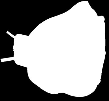 STOFMASKER DELTAPLUS Gelaatsmaskers FFP3, uit non woven kunststofvezel.