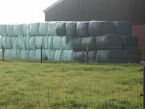 is. Bekend is dat de mest op het koepad in de zomerperiode niet regelmatig wordt weggeschoven (zie foto).