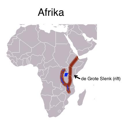 1. Ontstaan van de mens Vóór 10 miljoen jaar geleden leefde de gemeenschappelijk voorouder van de mens en de mensaap in Afrika.