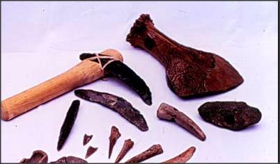 6. Werktuigen In het begin voor de jacht en later voor de landbouw begonnen de prehistorische mensen werktuigen te maken.
