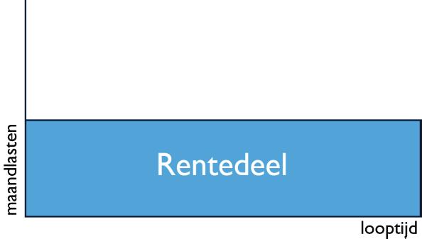 5.2 Aflossingsvrije hypotheek Met een aflossingsvrije hypotheek lost u tijdens de looptijd niets af.