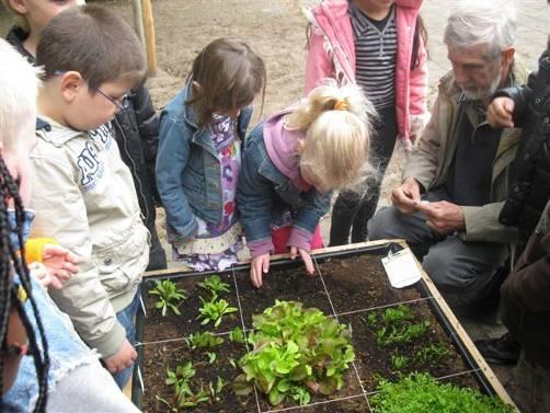 In de plaats Hardenberg wordt begeleiding door studenten van De Groene Welle aangeboden, buiten Hardenberg voert de basisschool het programma zelf uit met behulp van een handleiding.