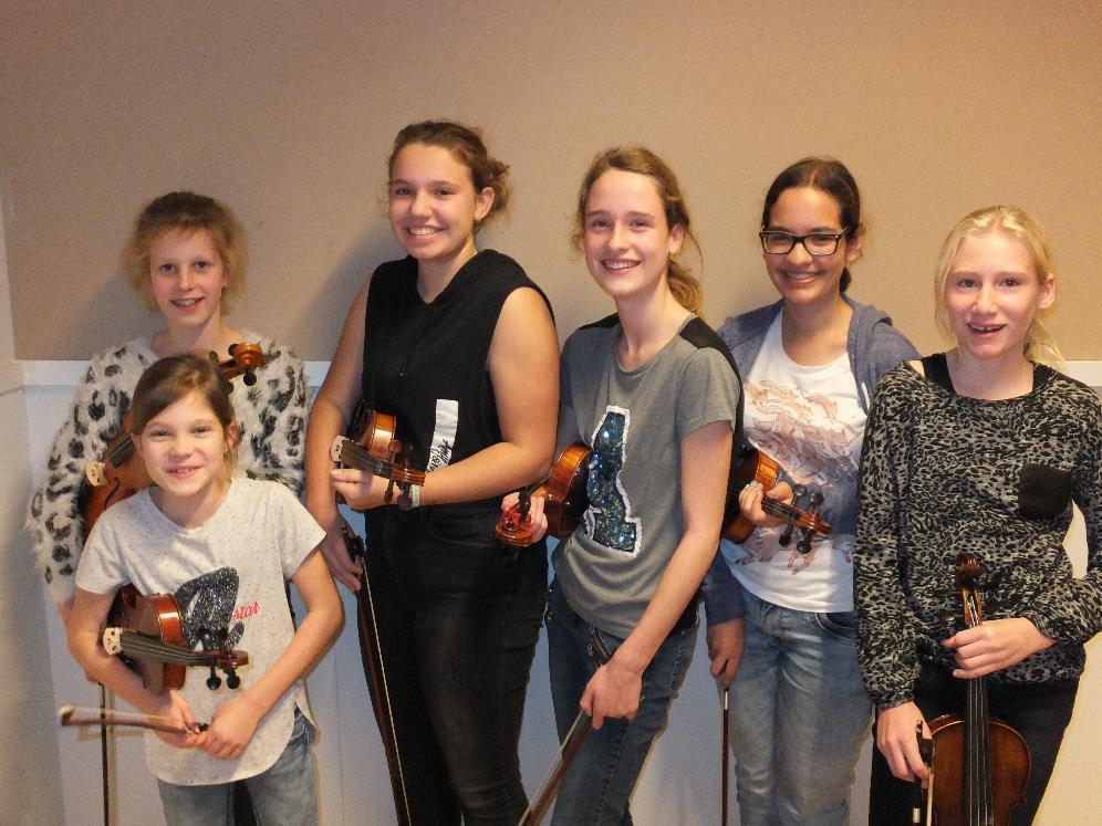 Vioolensemble In oktober is bij De Nieuwe Muziekschool een nieuw ensemble gestart: het vioolensemble. Het is het eerste echte strijkensemble dat Druten rijk is.