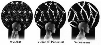 Omgeving (ouder, leraar, vrienden) zorgt voor