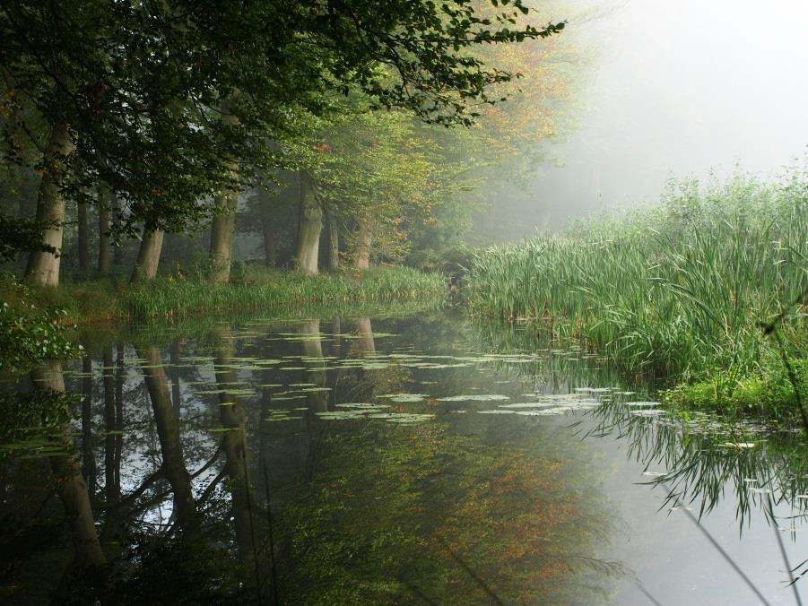 Omgevingswet: de grote verandering Fysieke leefomgeving (art 1.2/2.1) omvat in ieder geval.. a. bouwwerken, b.