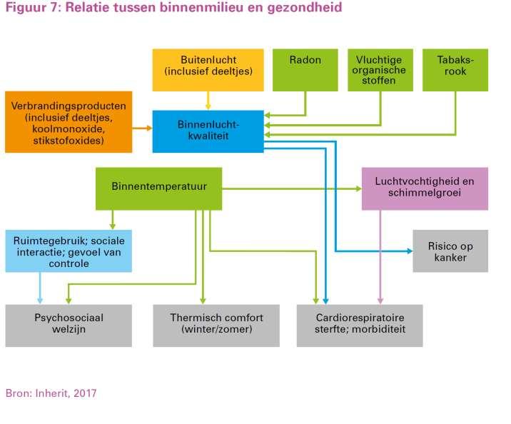 De stad als gezonde