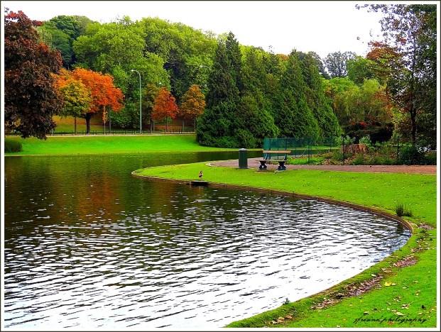 Dinsdagnamiddag uitstap Dinsdag 24 april 2018 Geniet van een lentewandeling in het Woluwepark. We zoeken de natuur op en genieten van een terrasje.