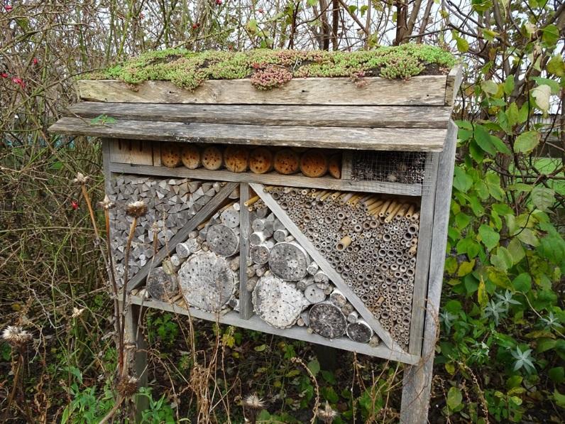 Bijenhotels Kunstmatige nesthulp in de vorm van bijenhotels kunnen een bijdrage leveren aan de voortplantingscyclus van een soort.