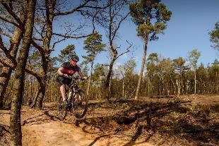 Heuvelrug Oosterschelde Veluwezoom Lauwersmeer Drents-Friese Wold Meinweg Duinen van Texel Schiermonnikoog Maasduinen Drentsche Aa Alde Feanen Beekse Bergen Kempen 10% 10% 7% 6% 6% 5% 5% 4% 4% 3% 3%