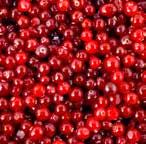 Actieve ingrediënten uit de natuur voor onberispelijke resultaten organisch cranberry extract Cranberries komen oorspronkelijk uit Noord Amerika en worden beschouwd als een superfruit, met andere