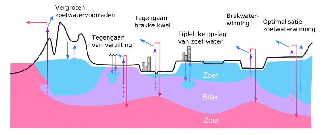 COASTAR Den-Haag Westland - Rotterdam Uitdagingen Verzilting grond- en oppervlaktewater Waterbeheer in de stedelijk gebied Zoetwater voor glastuinbouw Zoetwater voor industrie